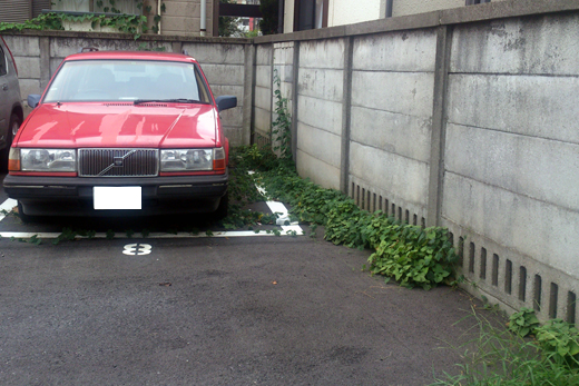 写真2