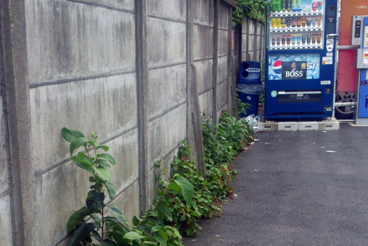 写真3